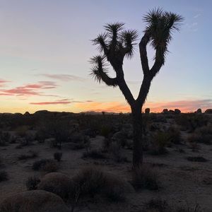 Meet your Posher, Eva